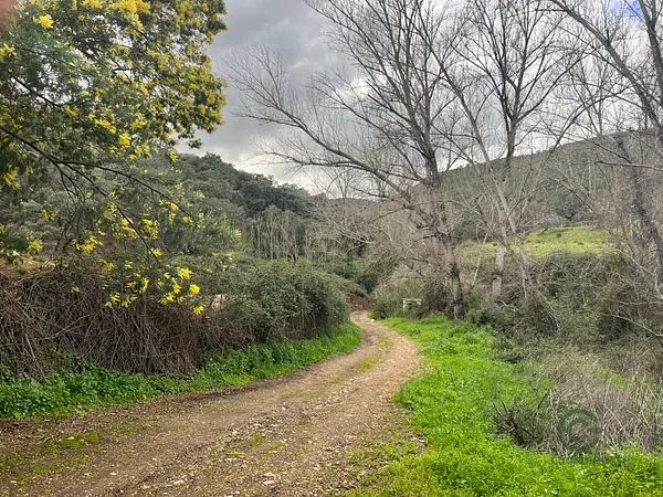 Finca rústica de 60,1 ha en venta en Huelva