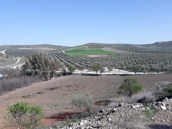 Finca agrícola de 115 ha en venta en Málaga