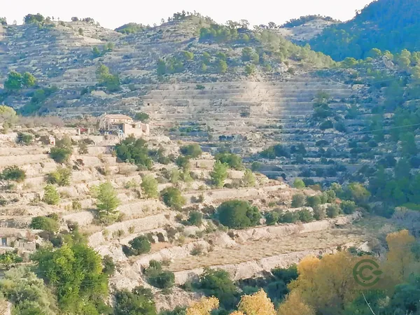 Finca rústica de 4 ha en venta en Sella, Alicante