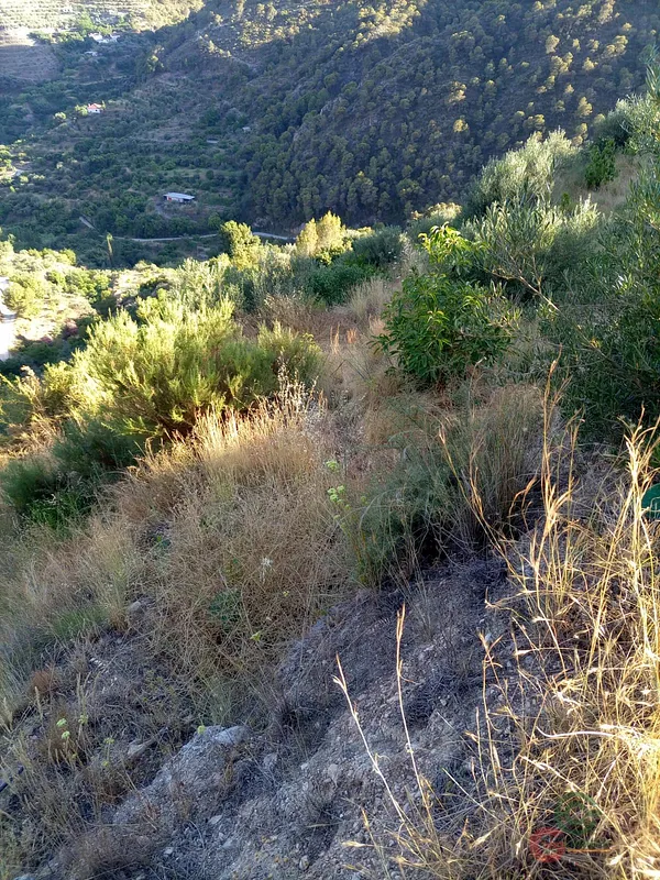 Finca agrícola de 4 ha en venta en Guájar alto, Granada