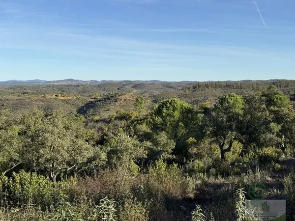 Finca rústica de 8,141 ha en venta en Berrocal, Huelva