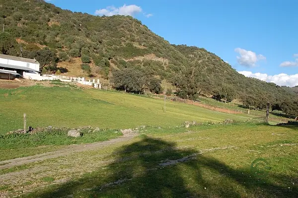 Finca rústica de 225 ha en venta en Sevilla