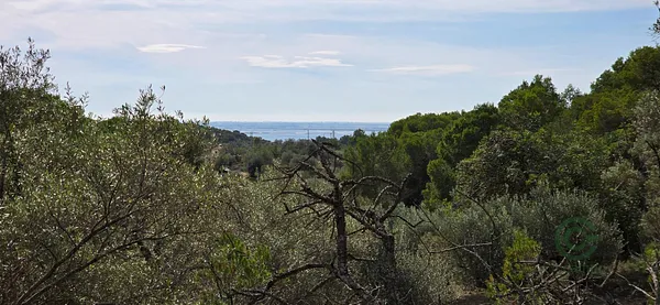 Finca rústica de 1,105 ha en venta en L'ametlla de mar, Tarragona