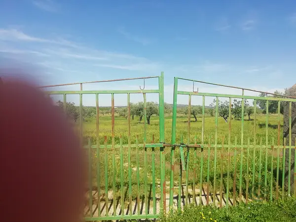 Finca rústica de 1 ha en venta en Cáceres