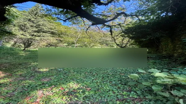 Propriété rustique de 0,23 ha pour vente à Auvergne-rhône-alpes