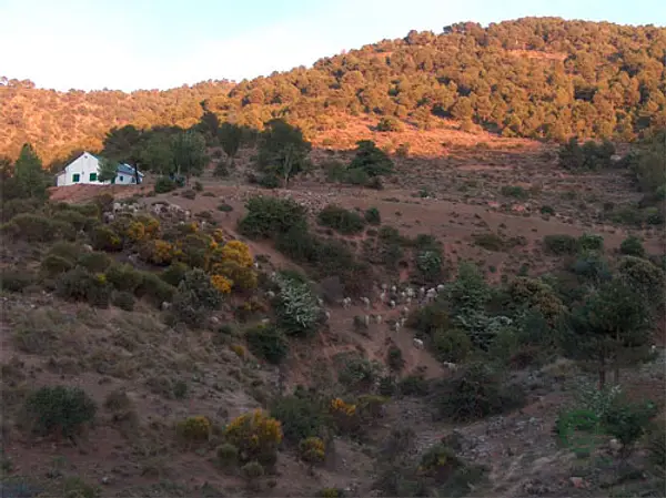 Finca rústica de 300 ha en venta en Granada