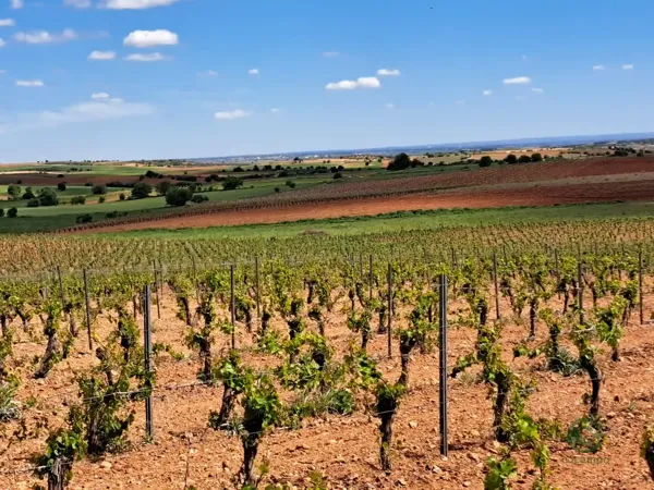 Finca agrícola de 8,64 ha en venta en Cuenca