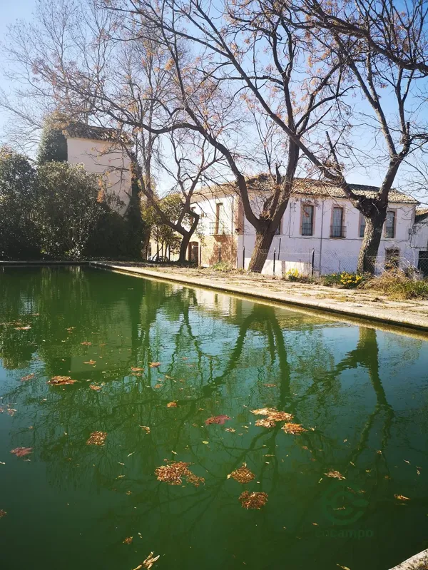 Finca rústica de 62 ha en venta en Jaén