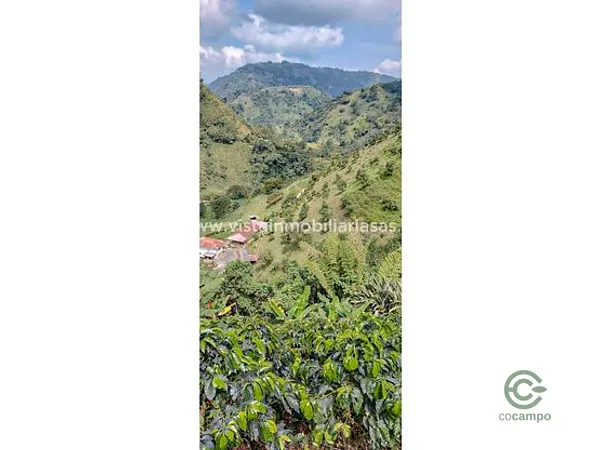 Finca agrícola de 14 ha en venta en Caldas