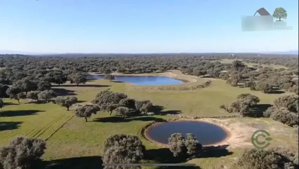Finca ganadera de 290 ha en venta en Cáceres