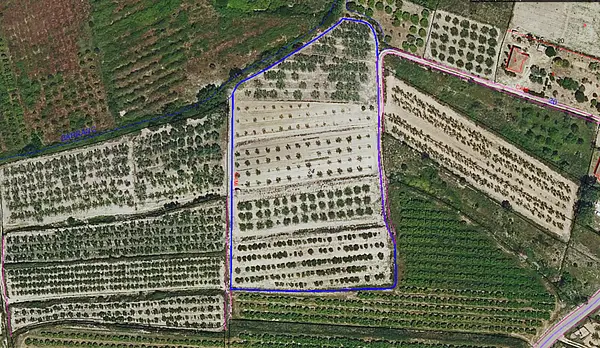 Finca agrícola de 1,2453 ha en venta en Valencia