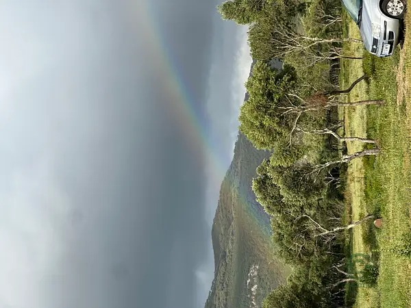 Finca rústica de 3 ha en venta en Cádiz