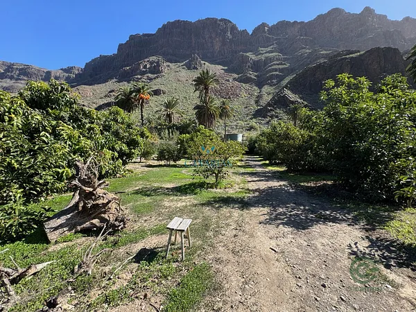 Finca rústica de 1 ha en venta en San bartolome de tirajana, Las palmas