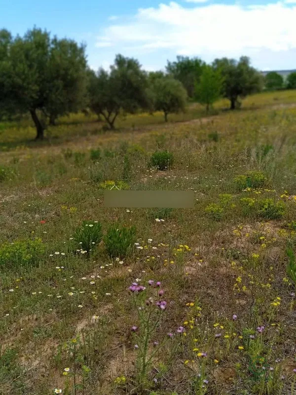 Finca agrícola de 0,495 ha en venta en Lardero, La rioja