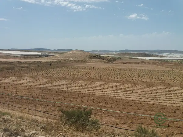 Finca agrícola de 5,4 ha en venta en Almería