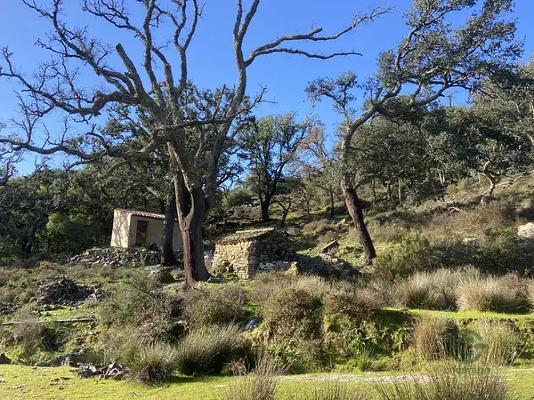 Finca rústica de 14 ha en venta en Cádiz
