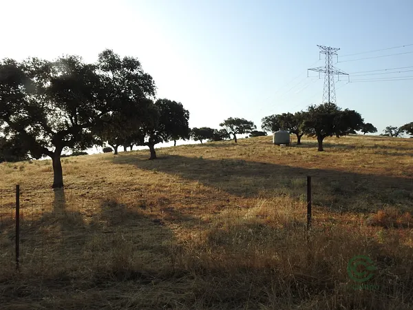 Finca rústica de 90 ha en venta en Cáceres