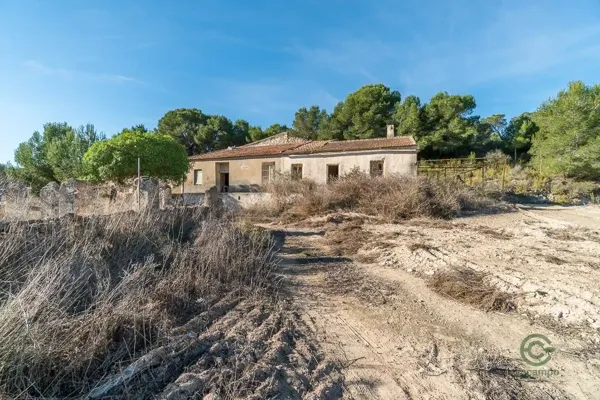 Finca rústica de 11,8 ha en venta en Pilar de la horadada, Alicante