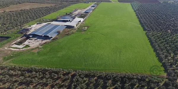 Finca rústica de 19 ha en venta en Jaén