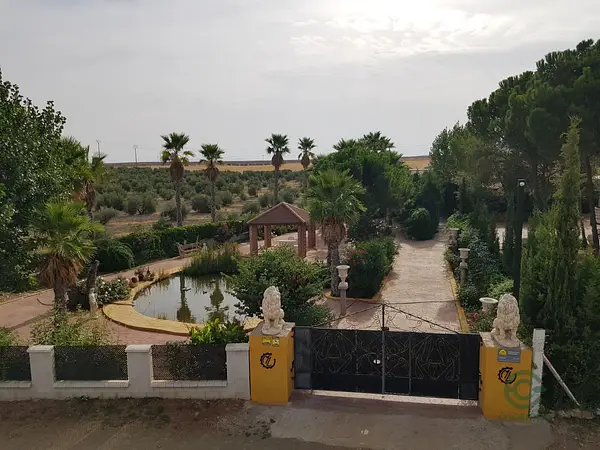 Finca rústica de 10 ha en venta en Ciudad real