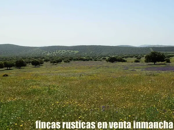 Finca rústica de 265 ha en venta en Ciudad real