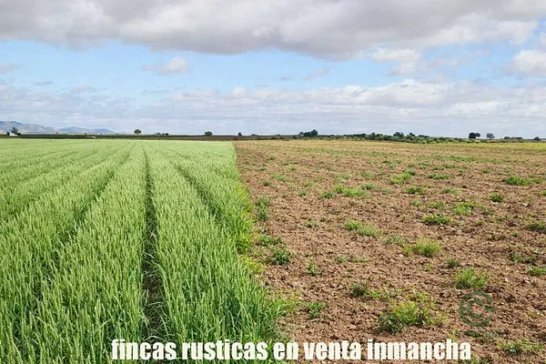 Finca agrícola de 9 ha en venta en Ciudad real