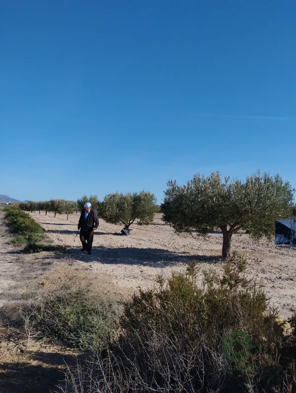 Finca rústica de 0 ha en venta en Murcia