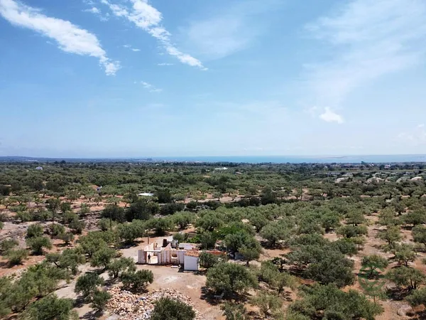 Finca rústica de 3,5 ha en venta en L` ampolla, Tarragona
