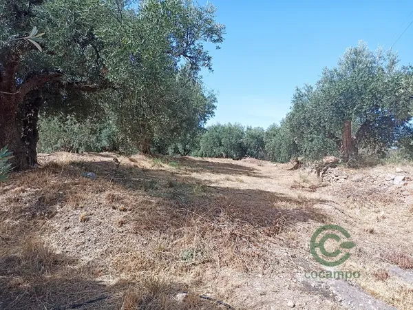Finca rústica de 1 ha en venta en Almería