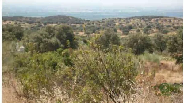 Finca rústica de 650 ha en venta en Sevilla