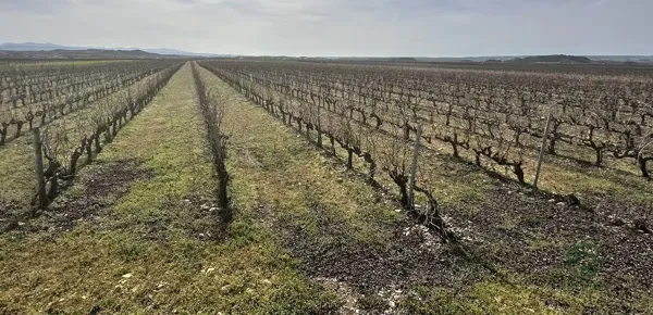 Finca rústica de 1,56 ha en venta en La rioja