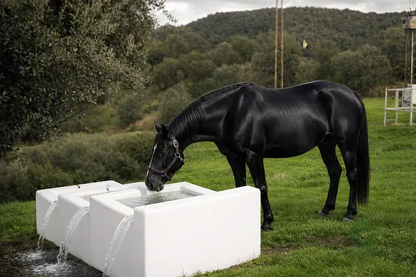 Finca rústica de 70,278 ha en venta en Córdoba
