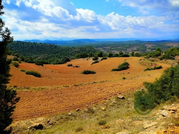 Finca rústica de 131 ha en venta en Castellón