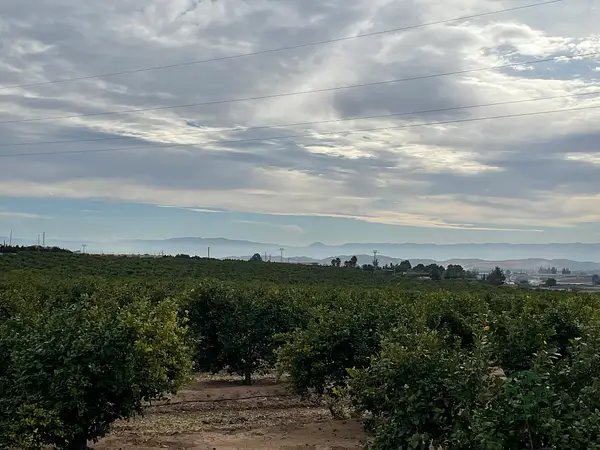 Finca agrícola de 6,6 ha en venta en Murcia