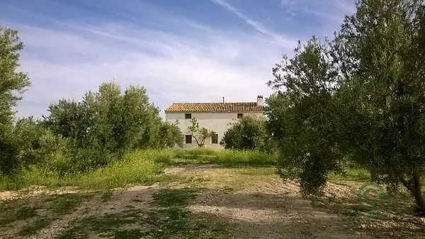 Finca agrícola de 10 ha en venta en Jaén