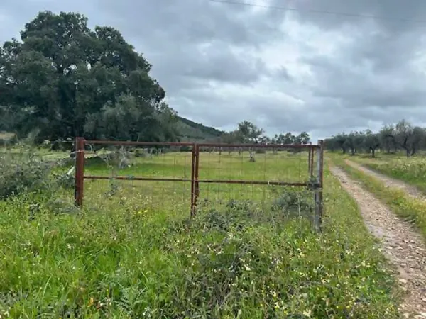 Finca agrícola de 24 ha en venta en Cáceres