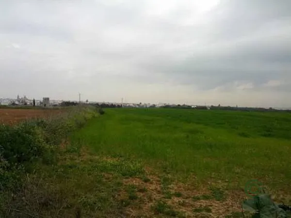 Terreno urbano de 5,9822 ha en venta en Umbrete, Sevilla