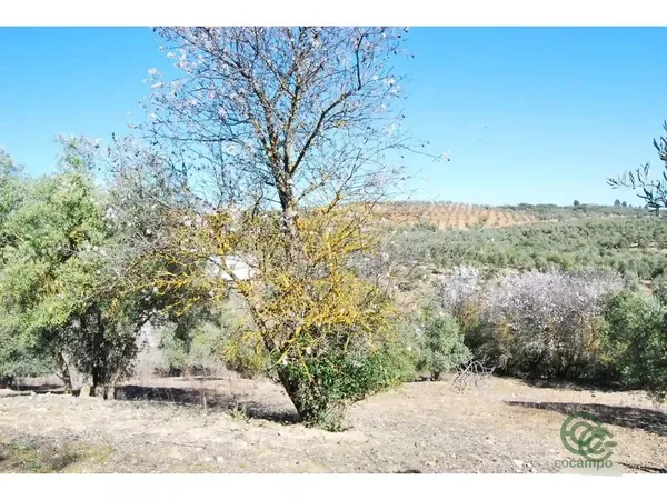Finca agrícola de 0,28 ha en venta en Loja, Granada