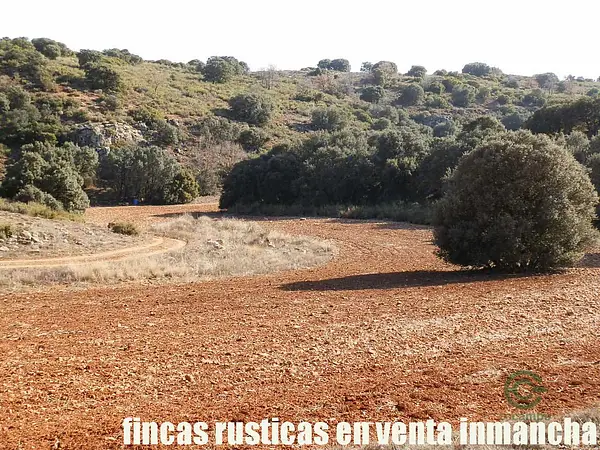 Finca rústica de 281 ha en venta en Ciudad real