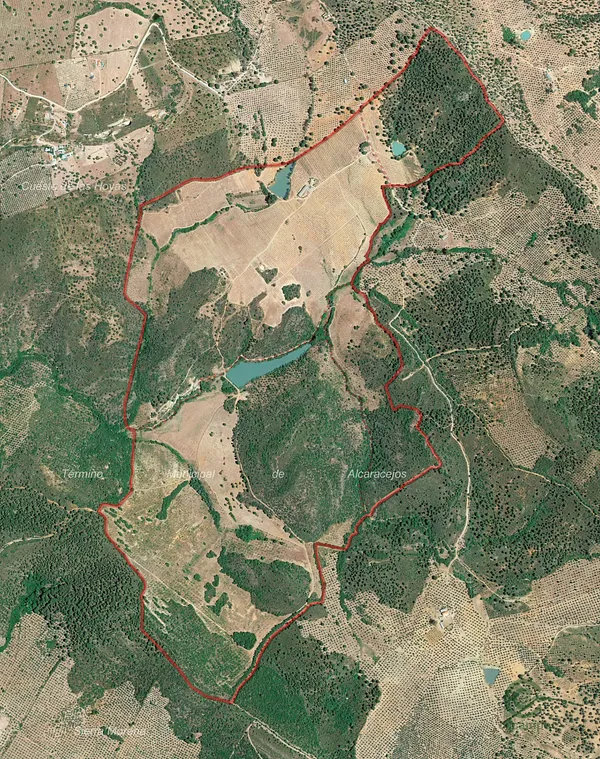 Finca rústica de 187 ha en venta en Córdoba