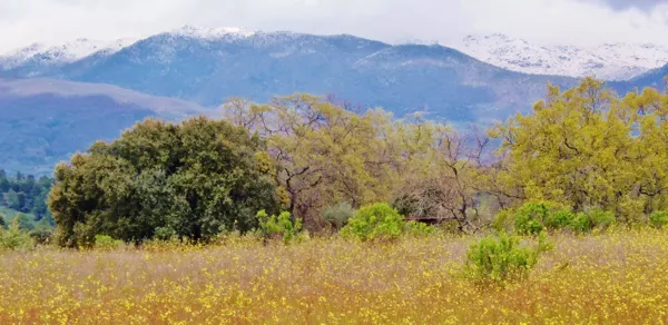 Finca de recreo de 6 ha en venta en Cáceres