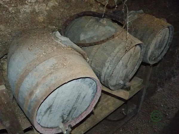 Finca rústica de 11,6 ha en venta en Barcelona