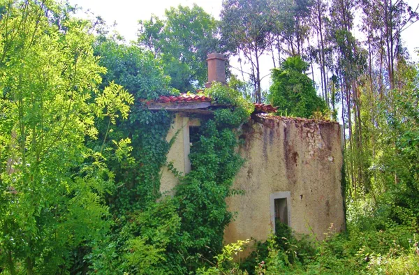 Finca de recreo de 20 ha en venta en Asturias