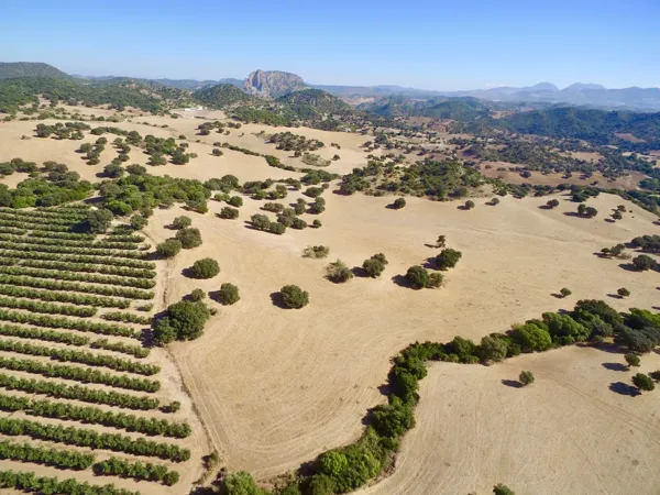 Finca rústica de 1200 ha en venta en Cádiz