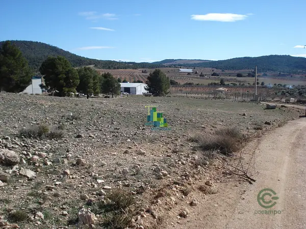 Finca forestal de 0,6289 ha en venta en Ayna, Albacete