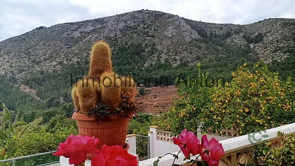 Finca rústica de 0,6041 ha en venta en Callosa d`en sarria, Alicante