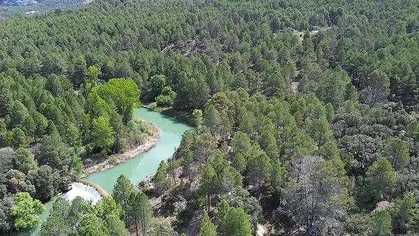 Finca rústica de 1100 ha en venta en Cuenca