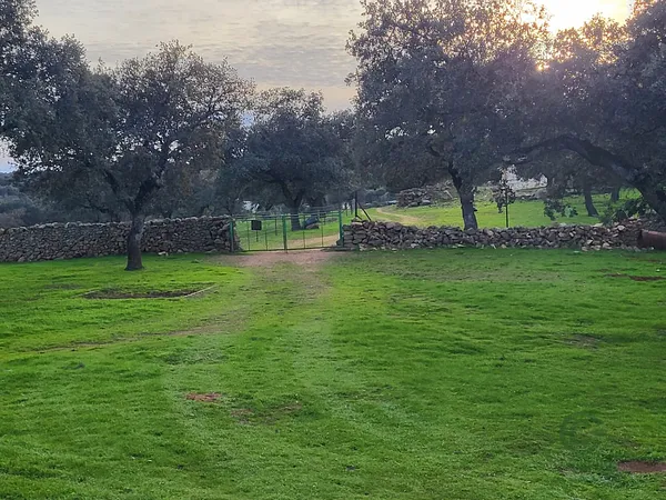 Finca rústica de 76 ha en venta en Fuente obejuna, Cordoba