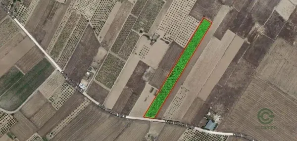 Terreno urbano de 1,17 ha en venta en Caudete, Albacete