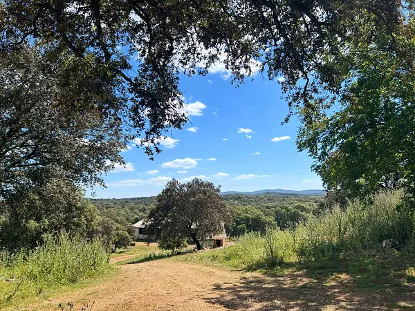 Finca rústica de 97 ha en venta en Sevilla